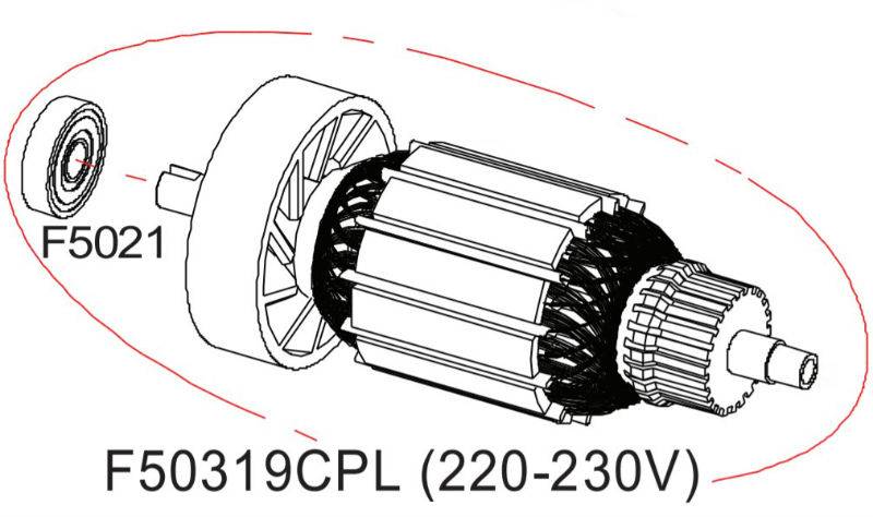 Rotor complet 220V DS504 RASOR F50319CPL