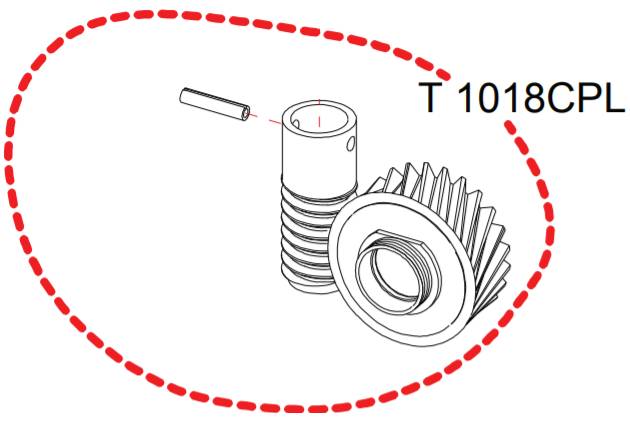 Pignon complet + vis sans fin RASOR D100 réf T1018CPL