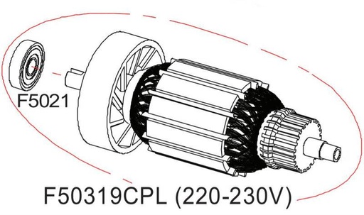 [F50319CPL] Rotor complet 220V DS504 RASOR F50319CPL