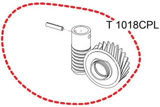 [T1018CPL] Pignon complet + vis sans fin RASOR D100 réf T1018CPL